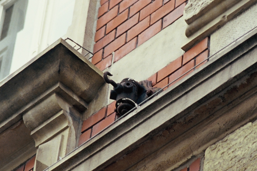 Rosette in der Paulinenstra�e