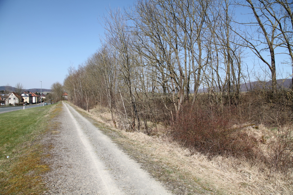 Verladung f�r Rigips-Werke, 2018